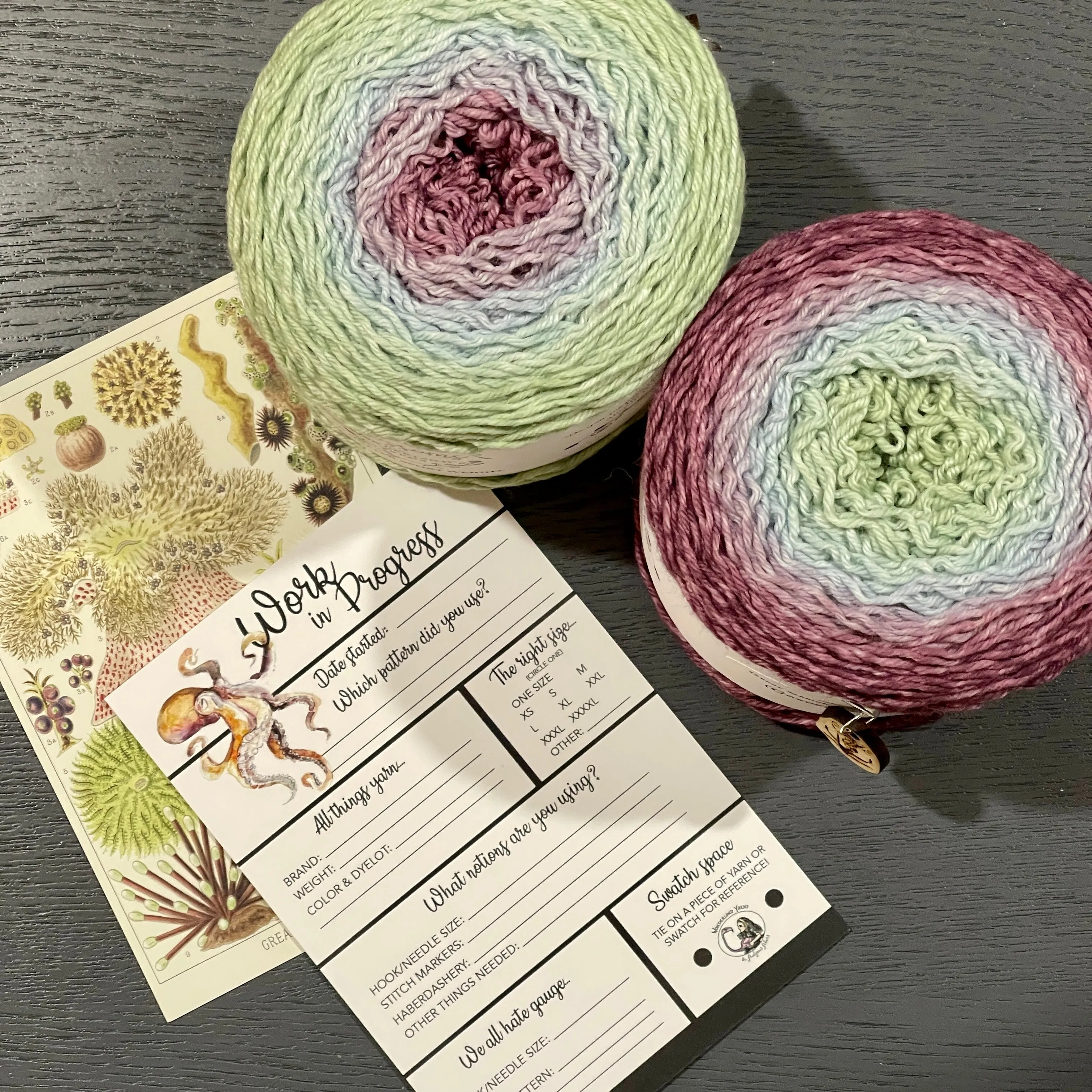 2023 Wonderland Yarns' Blossom Club