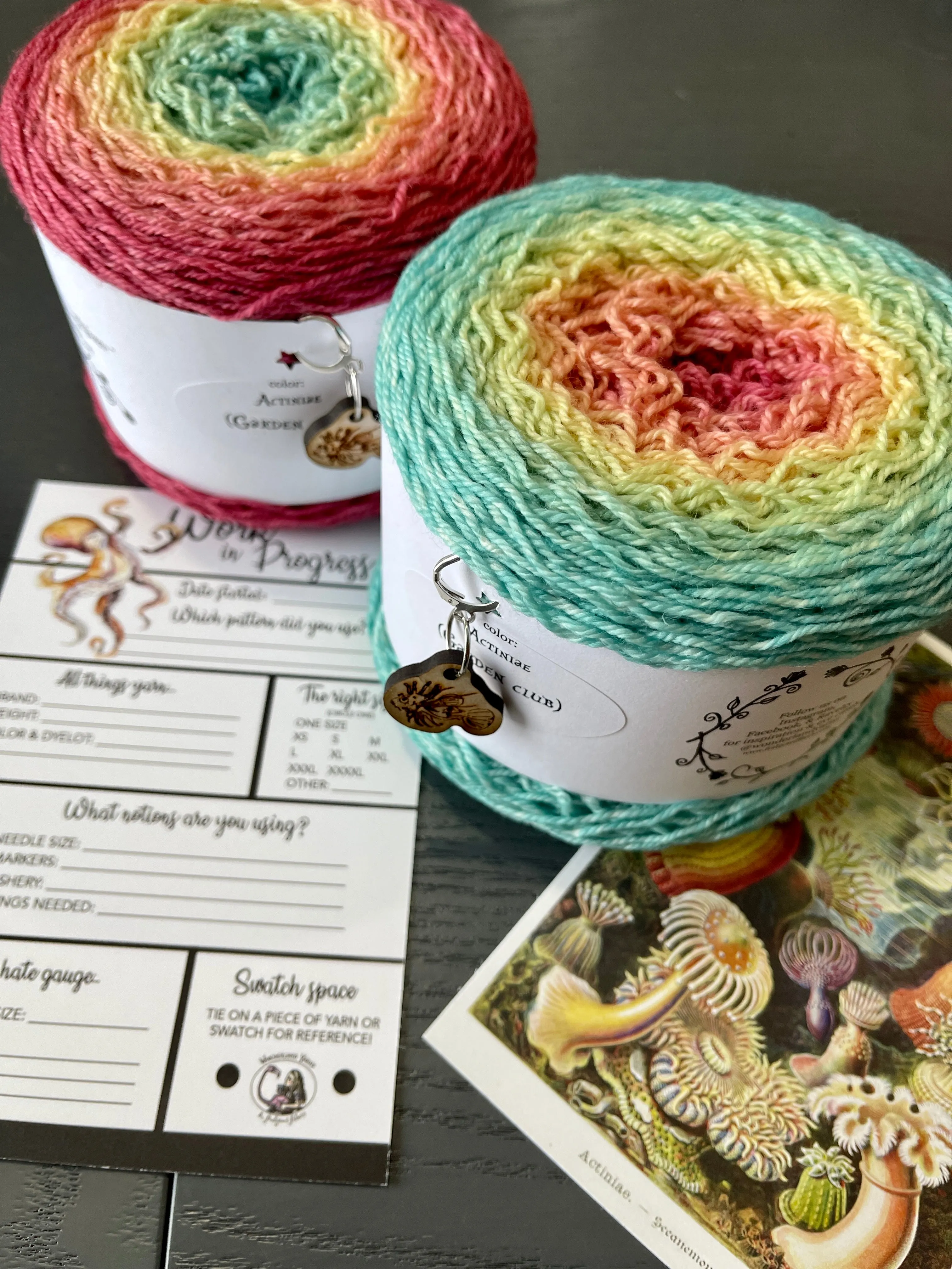 2023 Wonderland Yarns' Blossom Club