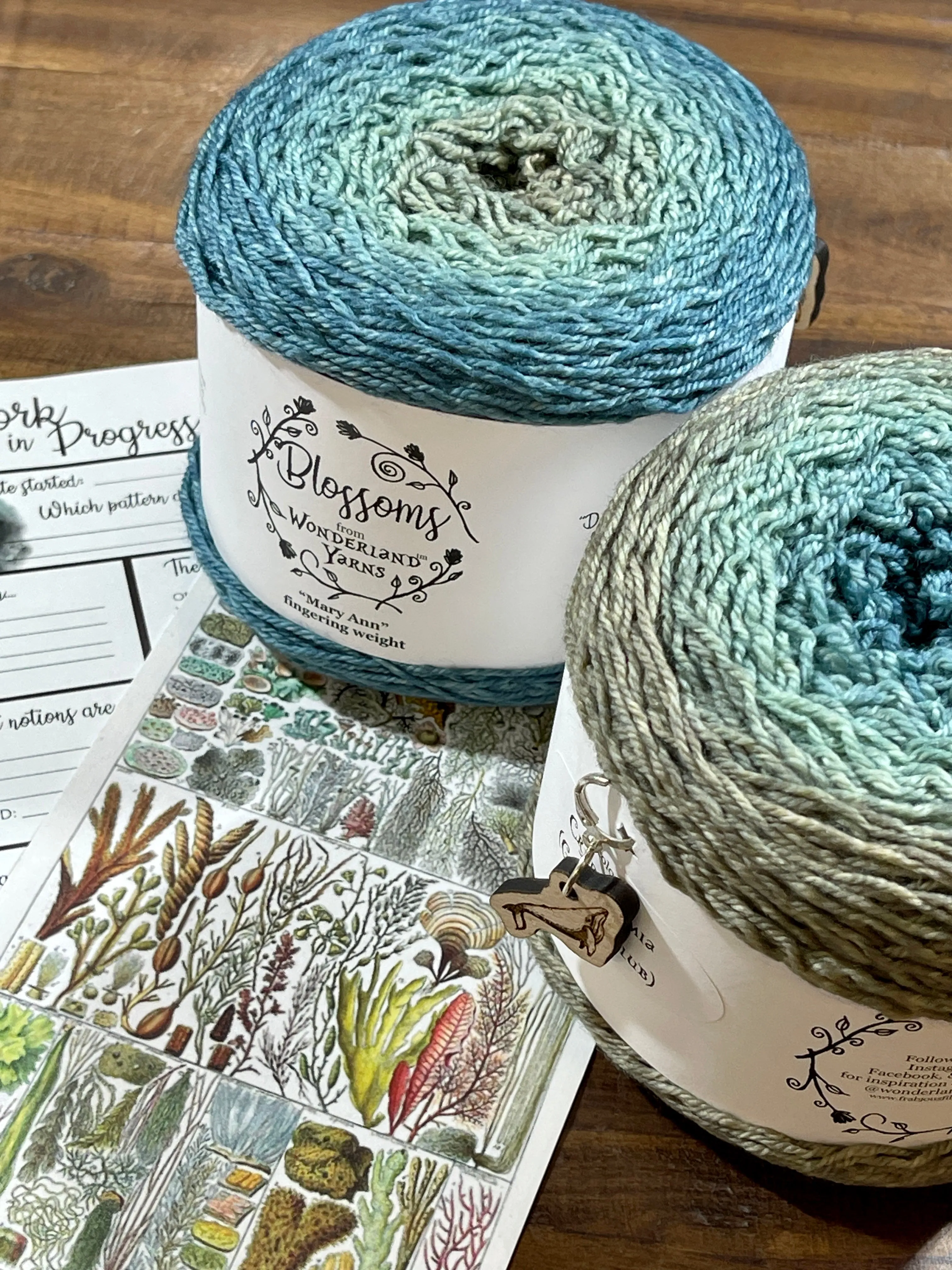 2023 Wonderland Yarns' Blossom Club