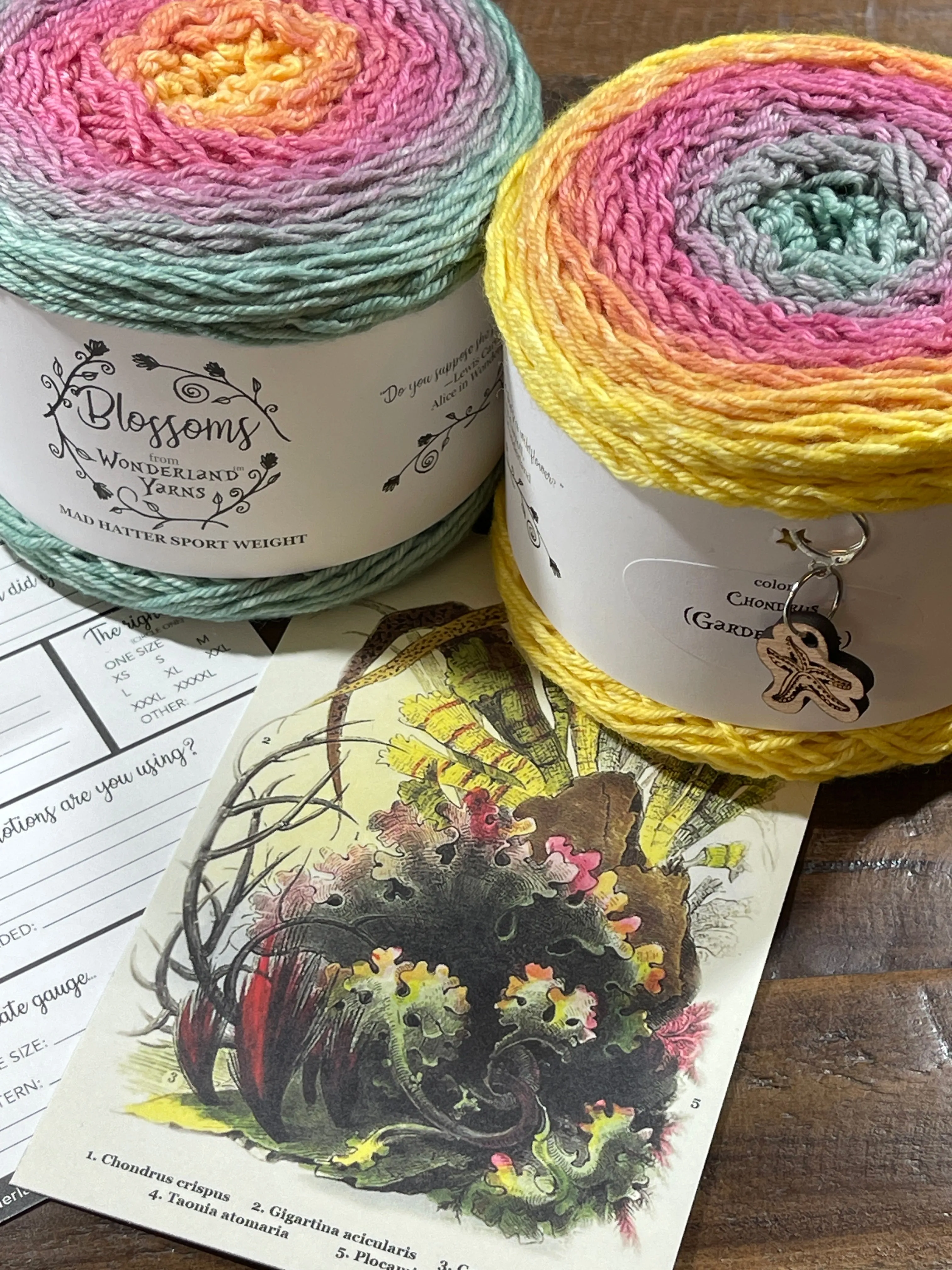 2023 Wonderland Yarns' Blossom Club