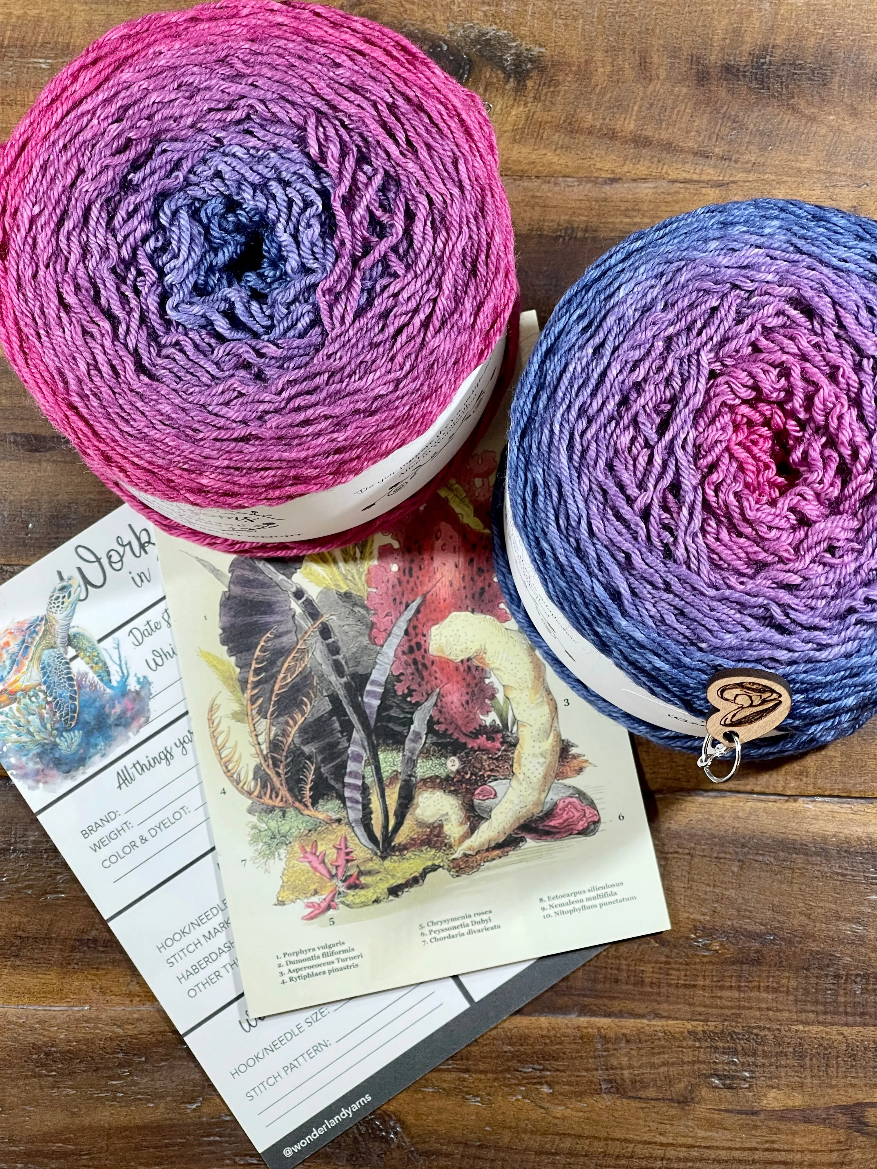 2023 Wonderland Yarns' Blossom Club