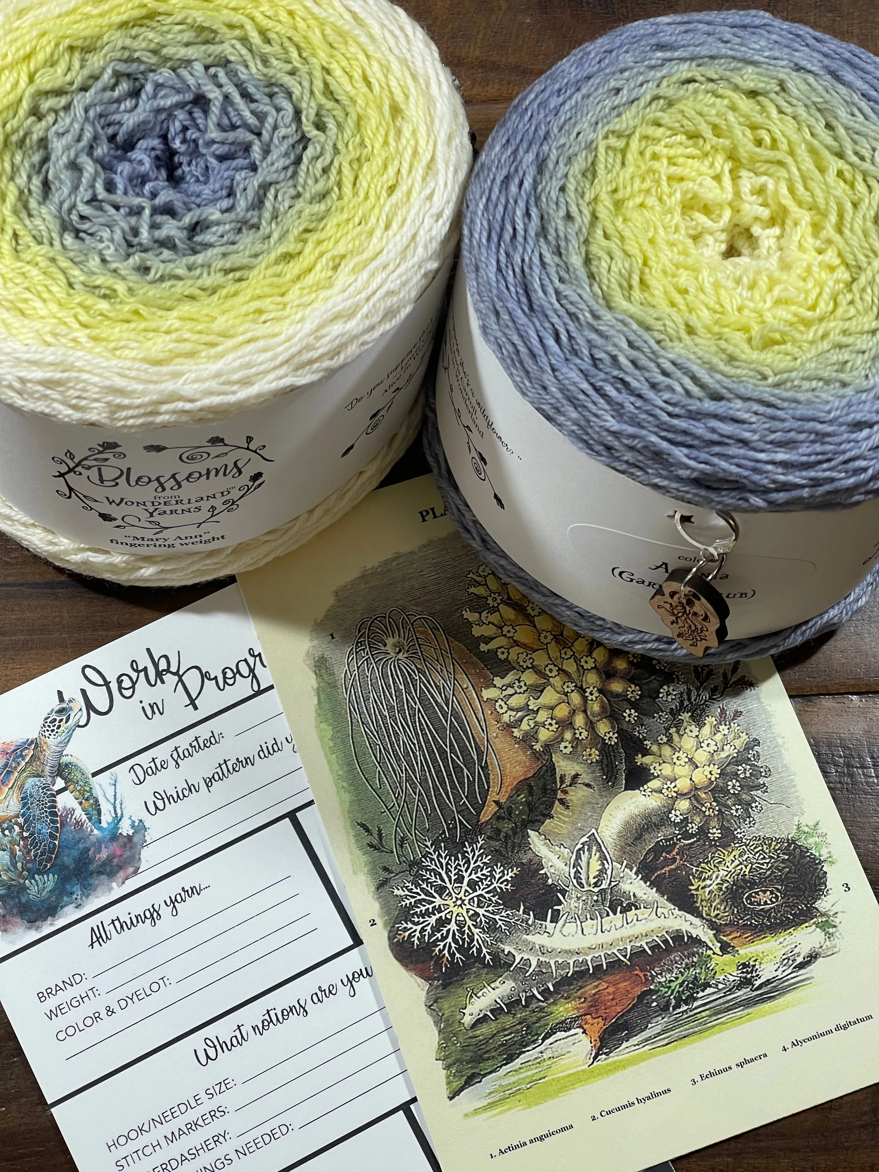 2023 Wonderland Yarns' Blossom Club