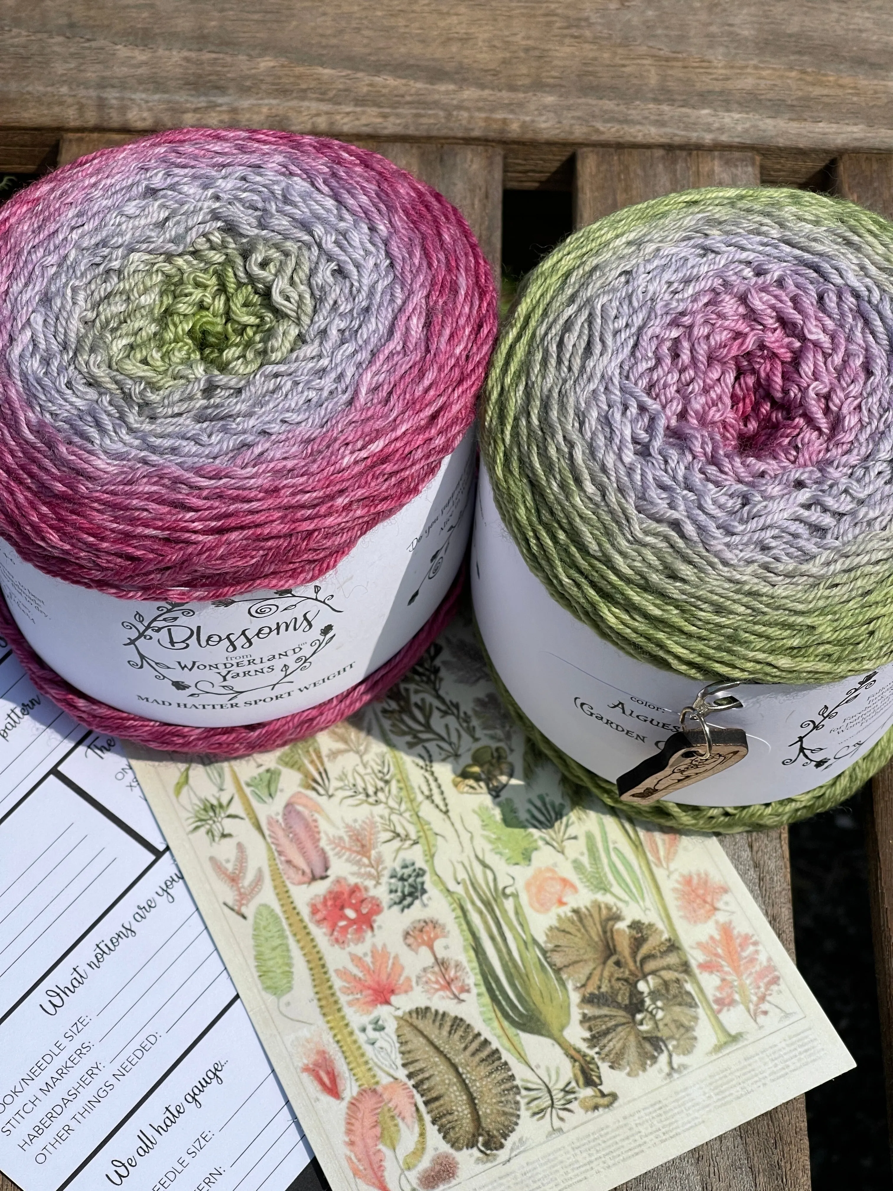 2023 Wonderland Yarns' Blossom Club
