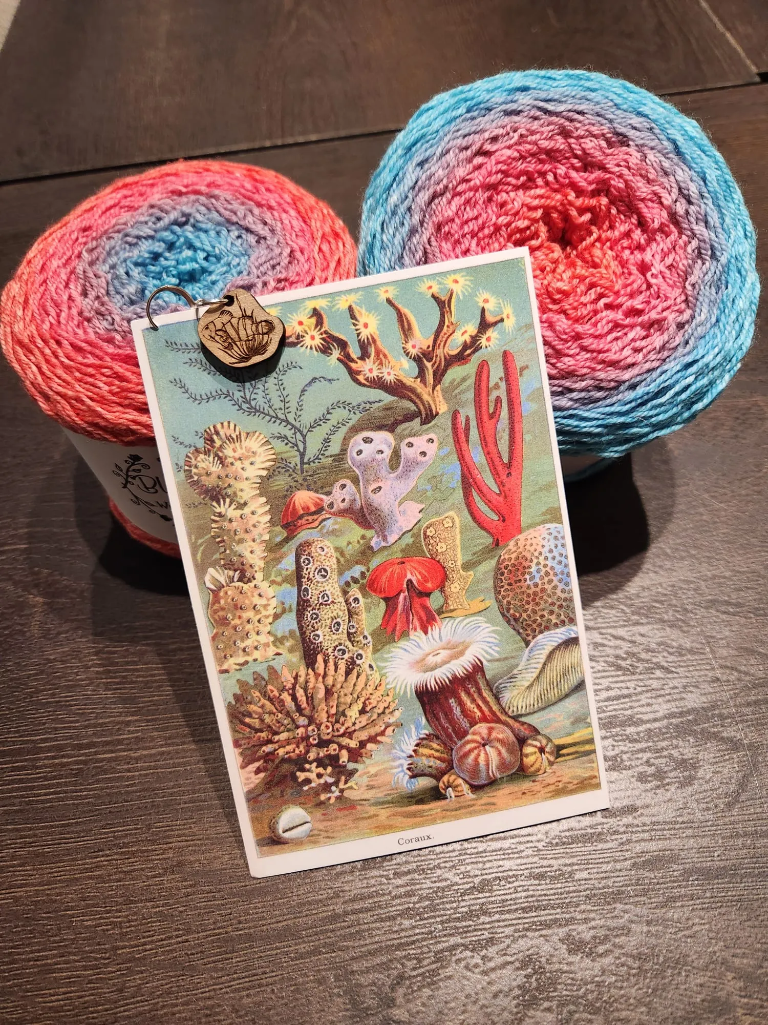 2023 Wonderland Yarns' Blossom Club