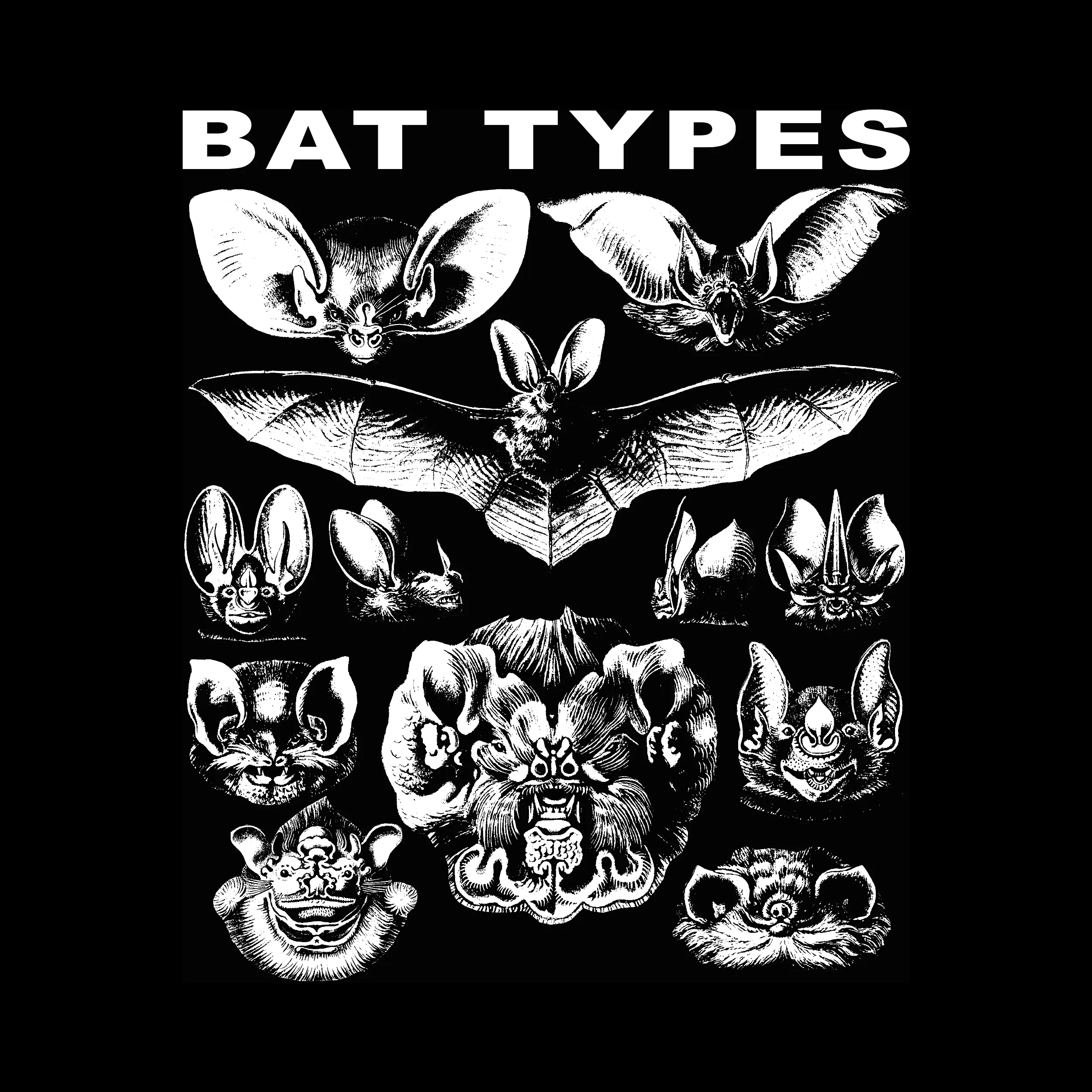 Bat Types Slim Fit Tee