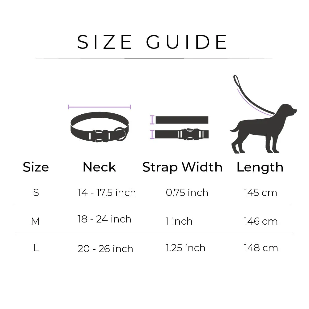 Dear Pet Nylon Dog Collar-Leash Set in Red