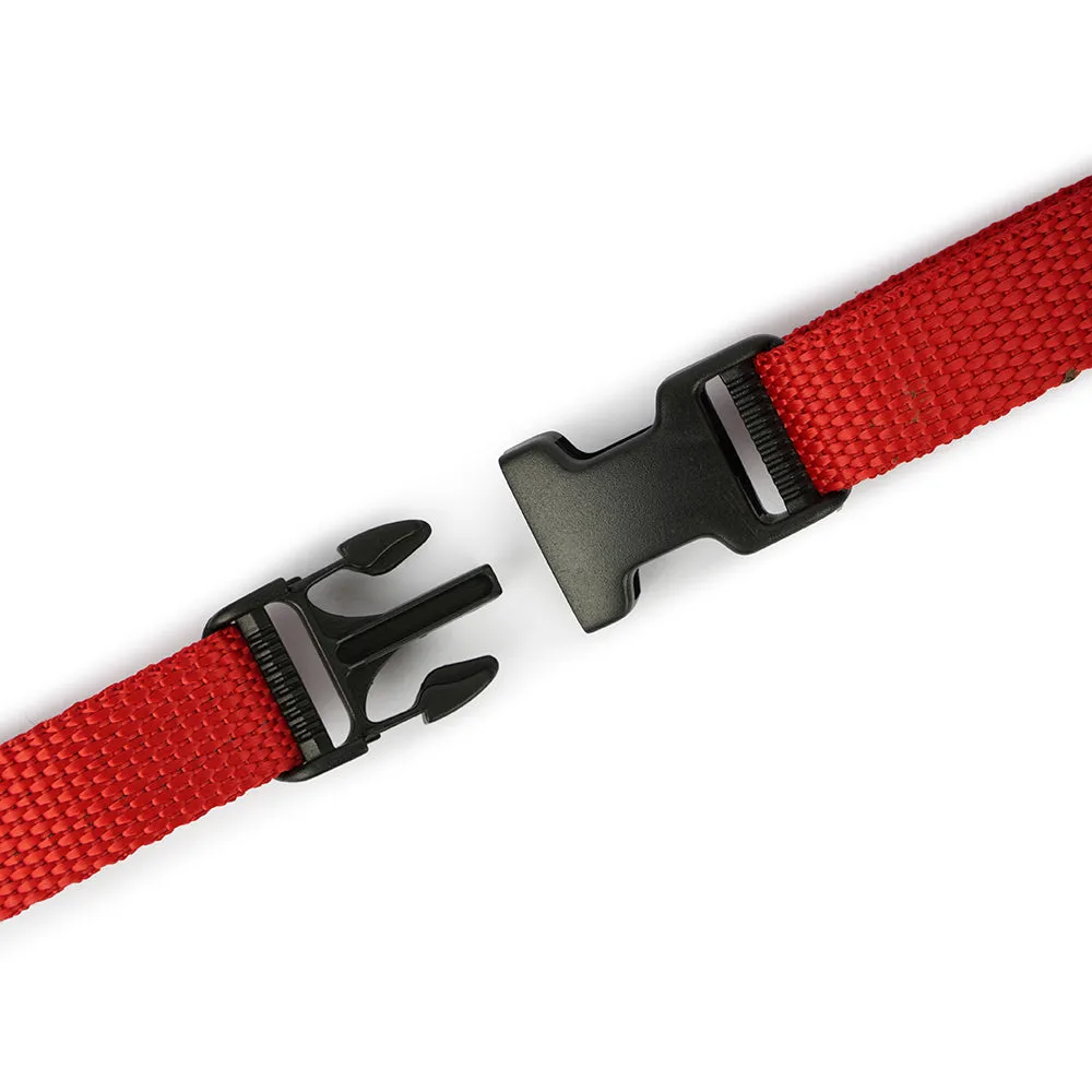 Dear Pet Nylon Dog Collar-Leash Set in Red
