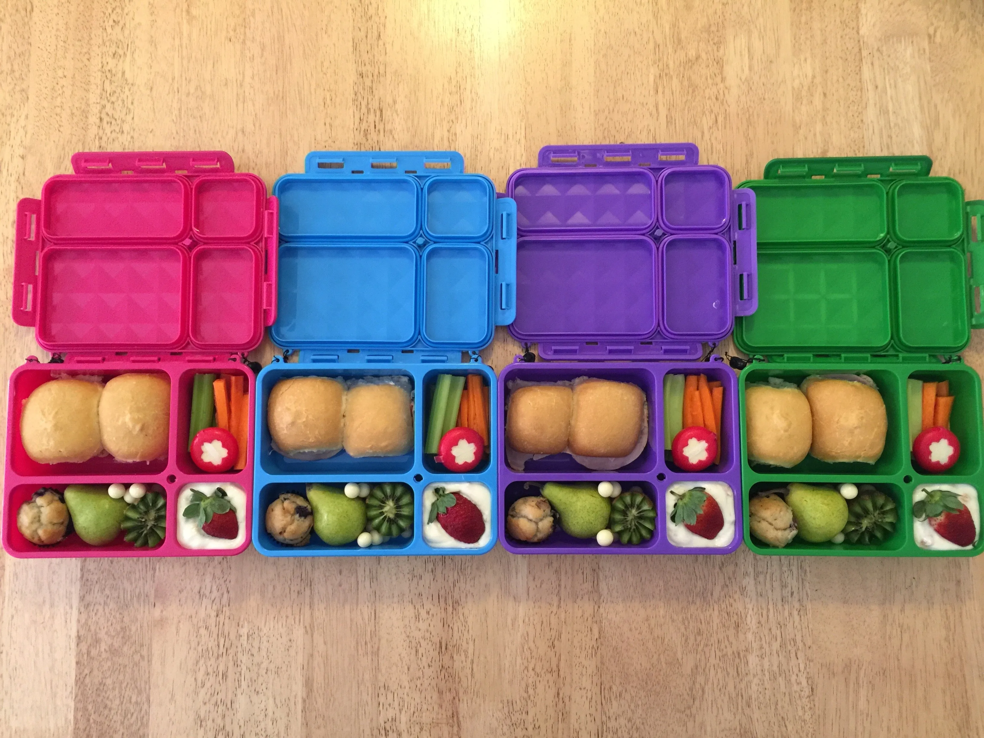 Go Green Lunch Box Bundle - Blue & Green MEDIUM