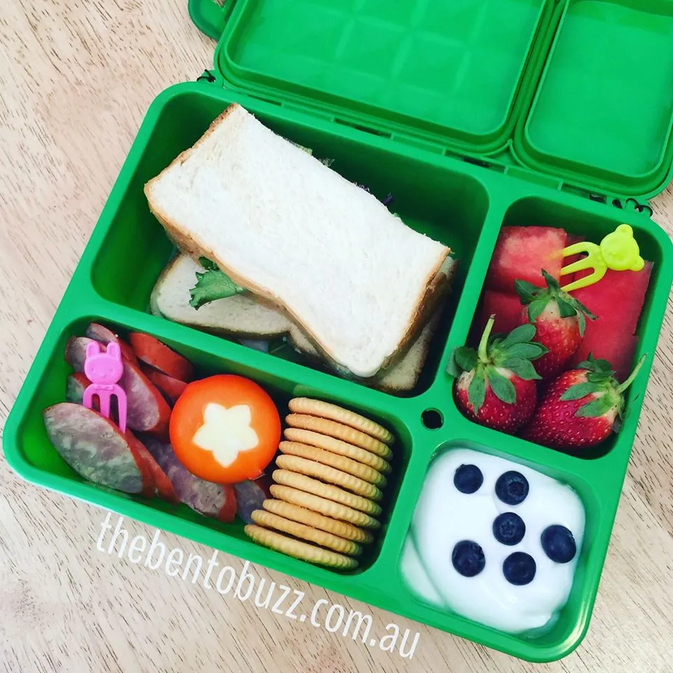 Go Green Lunch Box Bundle - Blue & Green MEDIUM