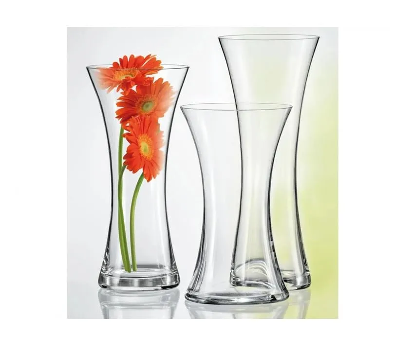 SPHINX Concave Shape Decorative Glass Vase for Flowers Live Plants Bamboo Money Plants Home Office Living Room Table Decorations, Vases for Home Decor, Gift - (Height 8 inches)- 1 Piece